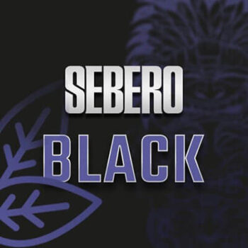 SEREBRO BLACK