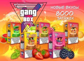 GANG BOX